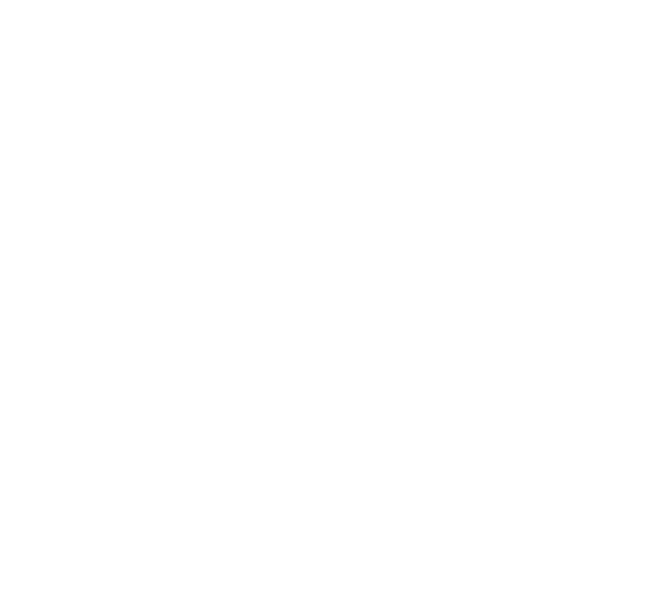 logo de website