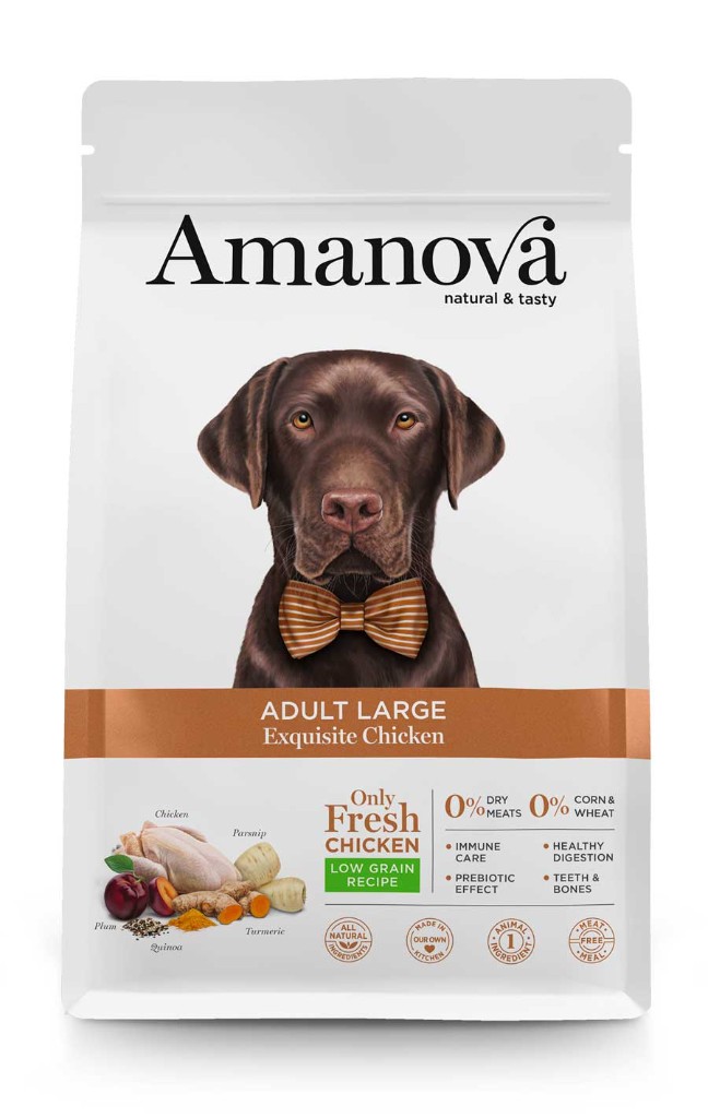 AMANOVA ADULT LARGE EXQUISITE CHICKEN QUINOA