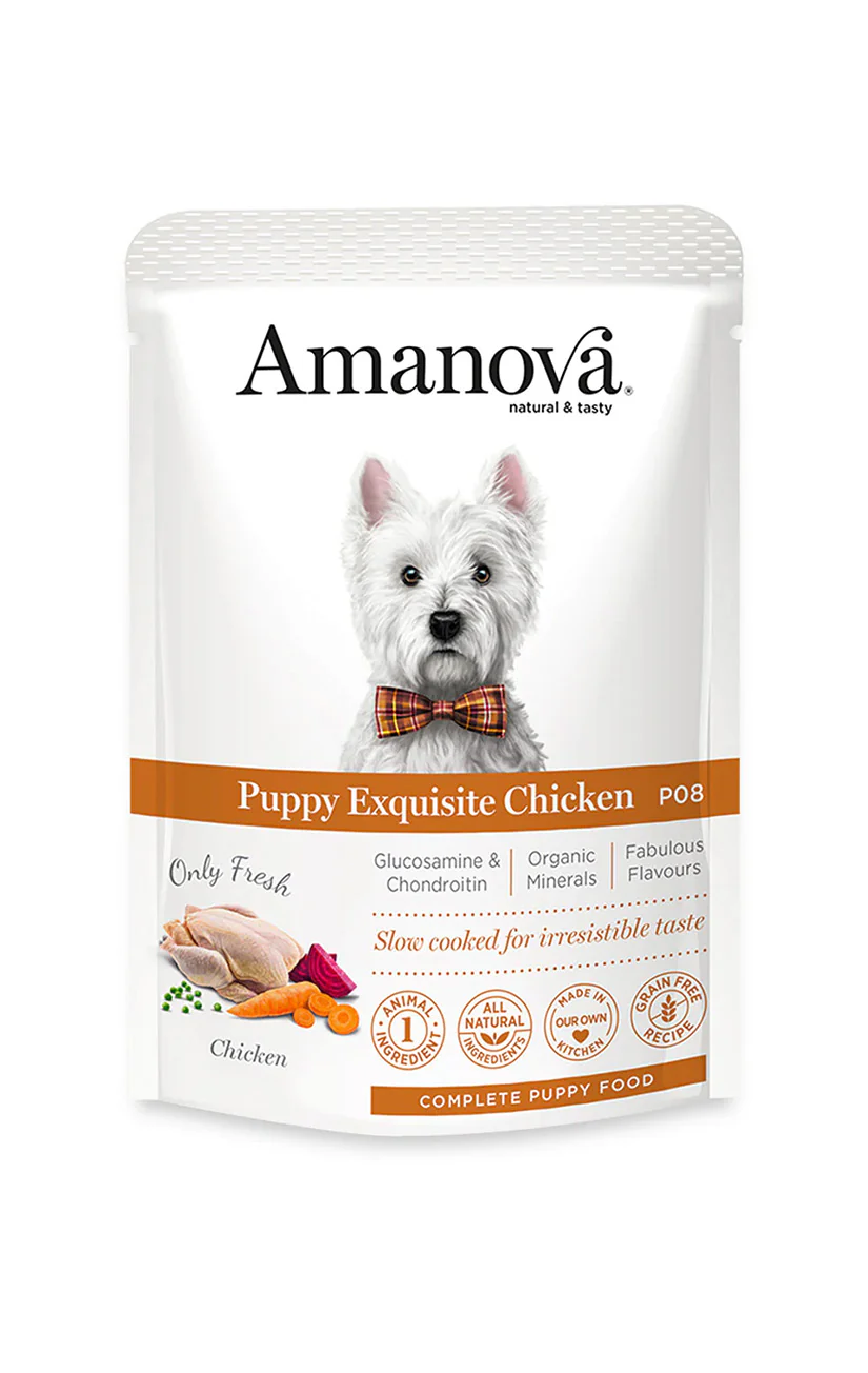 AMANOVA WET PUPPY CHICKEN