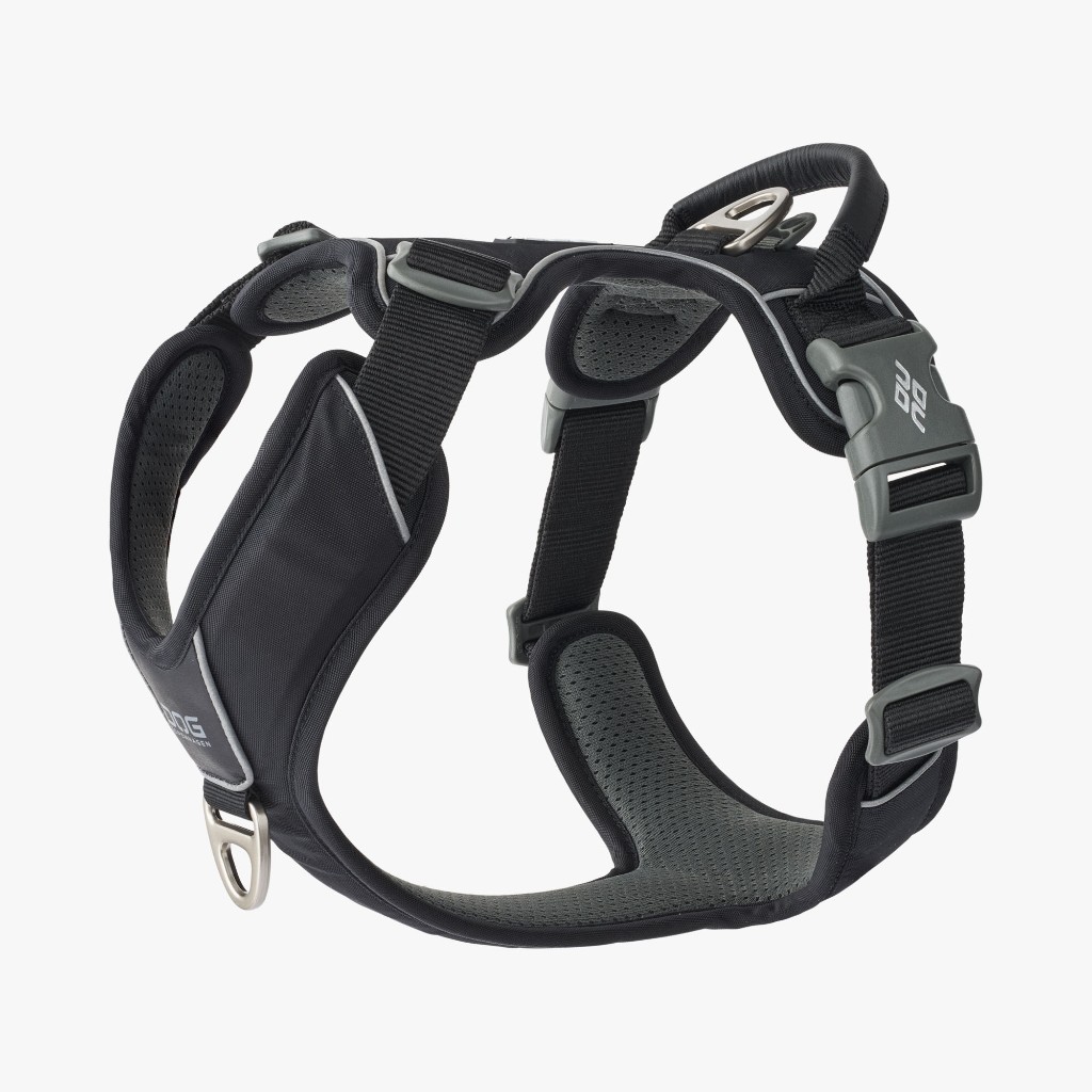 ARNES DOG COPENHAGEN WALK PRO NEGRO