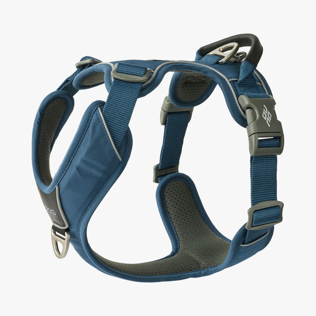 ARNES DOG COPENHAGEN WALK PRO AZUL