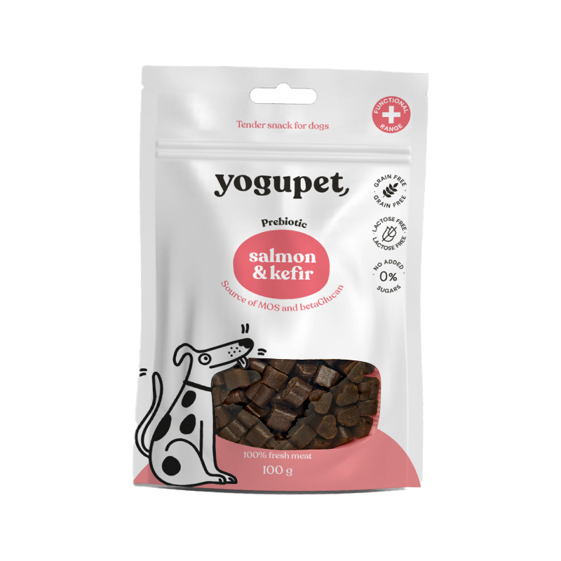 SNACK YOGUPET SALMON&KEFIR 