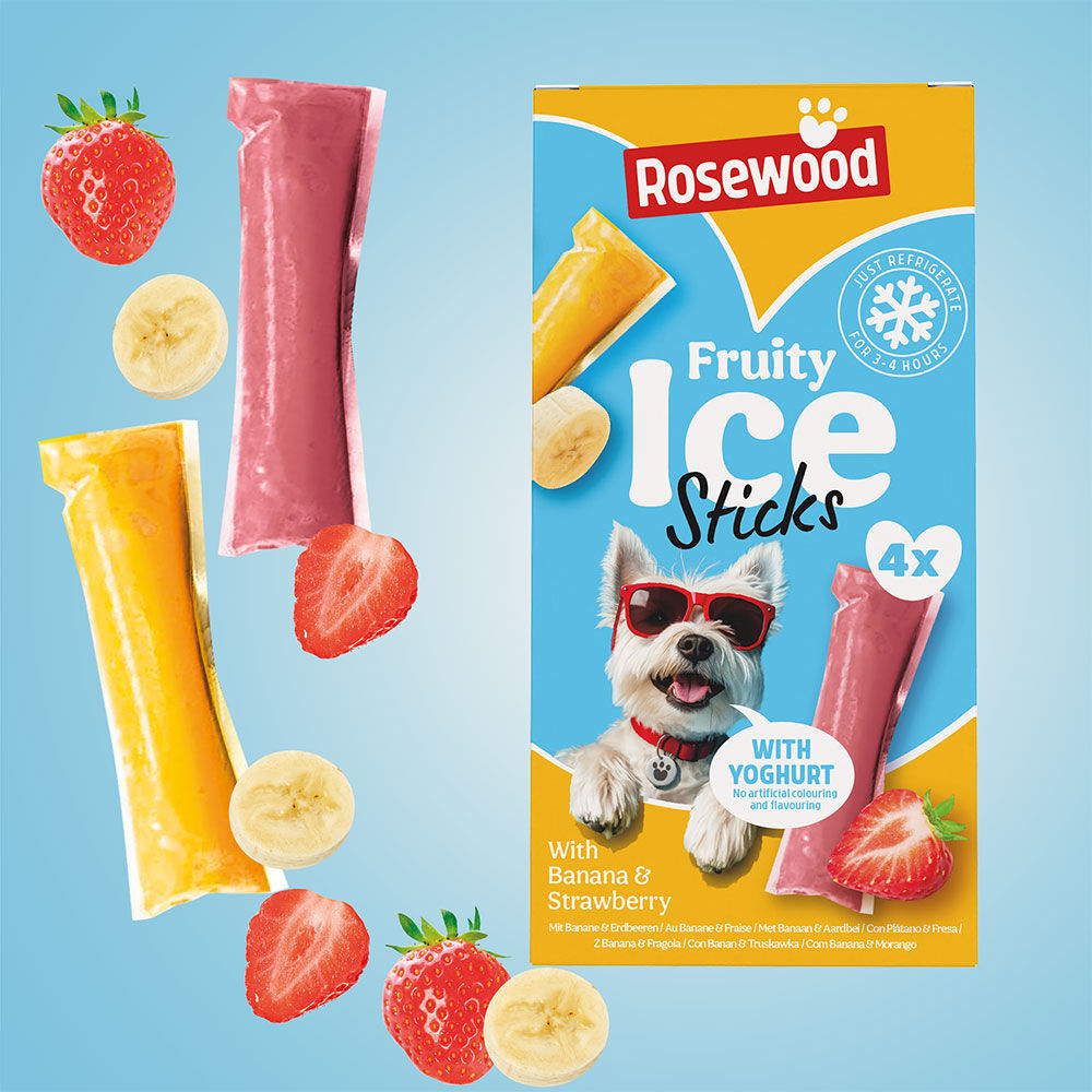 HELADO FRUTA/YOGURT ROSEWOOD