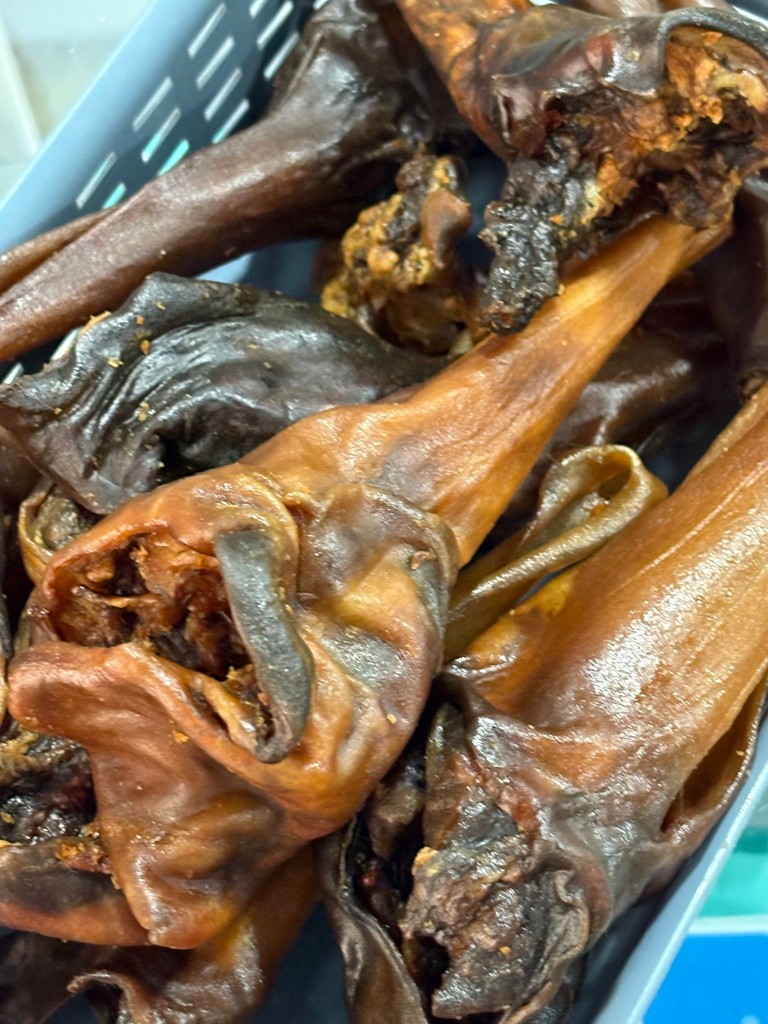 OREJA DE CABALLO